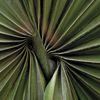 Spiral shape symbolizing continuous personal growth